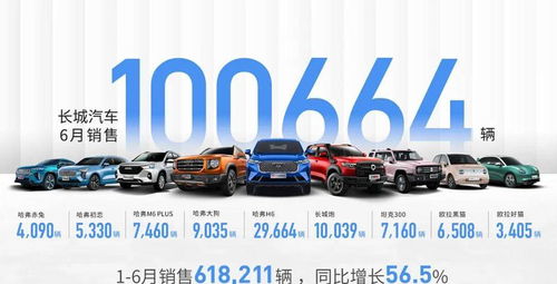 长城汽车半年销量超61万台,繁荣背后,接了众泰的班